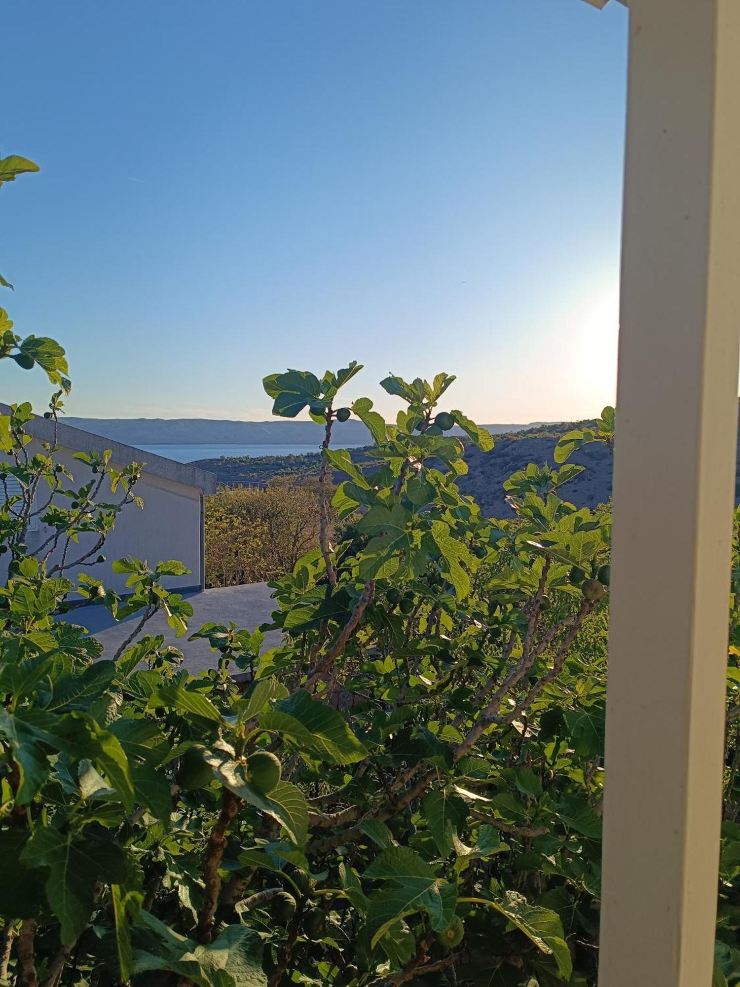 Villa Alexa セサリサ エクステリア 写真